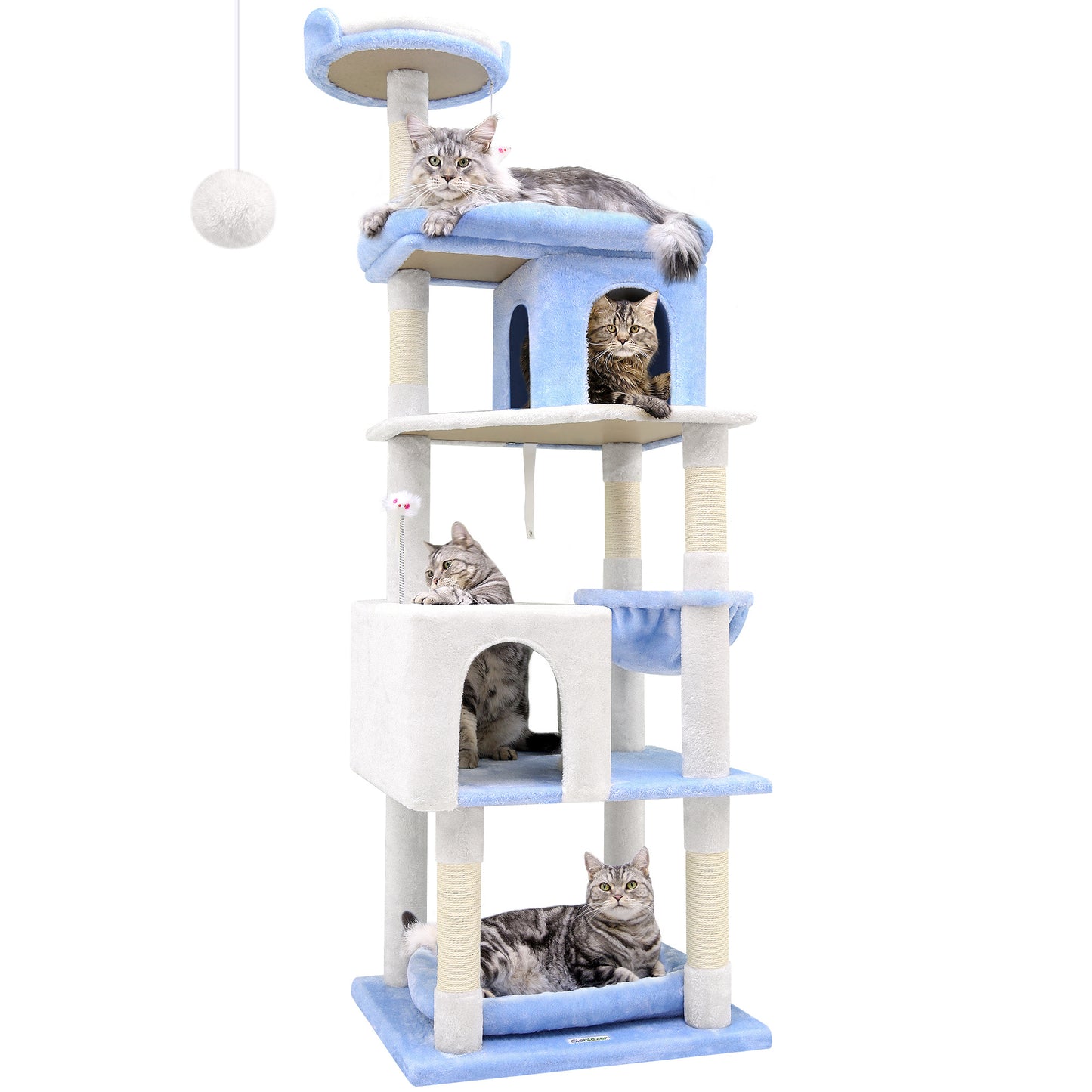 72 Inch Marine Blue Cat Climbing Frame