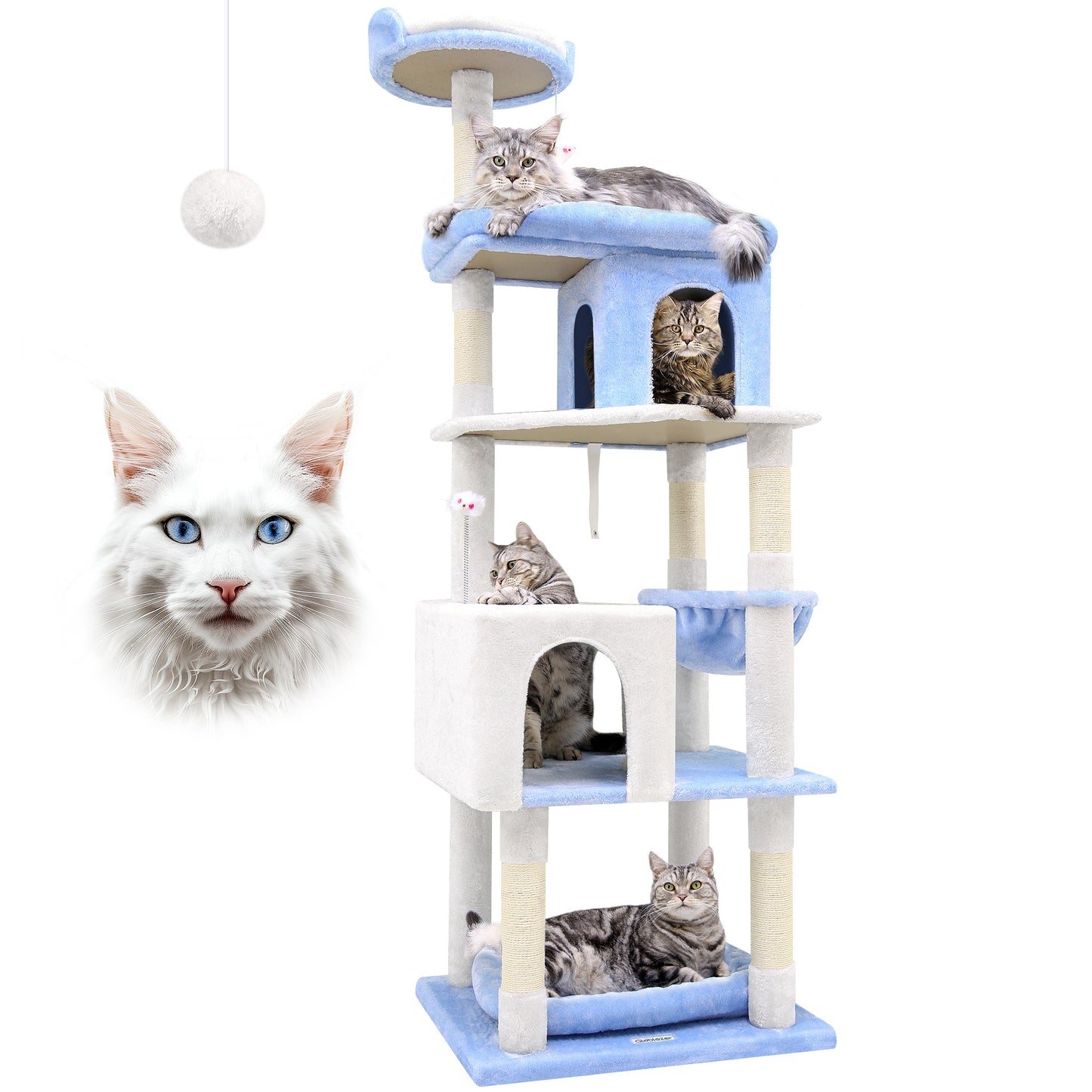 72 Inch Marine Blue Cat Climbing Frame